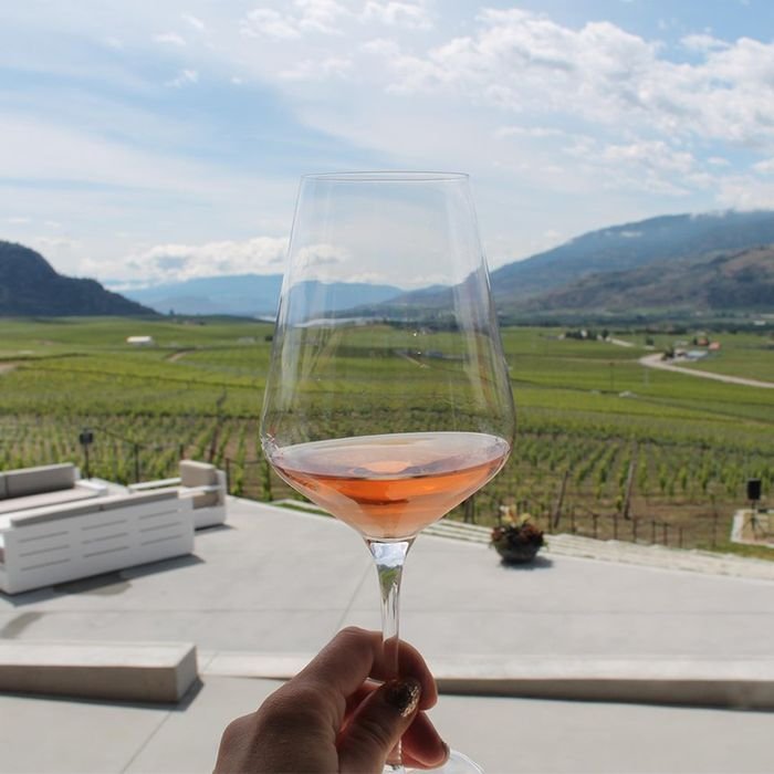A glass of rosé overlooking Osoyoos vineyards
